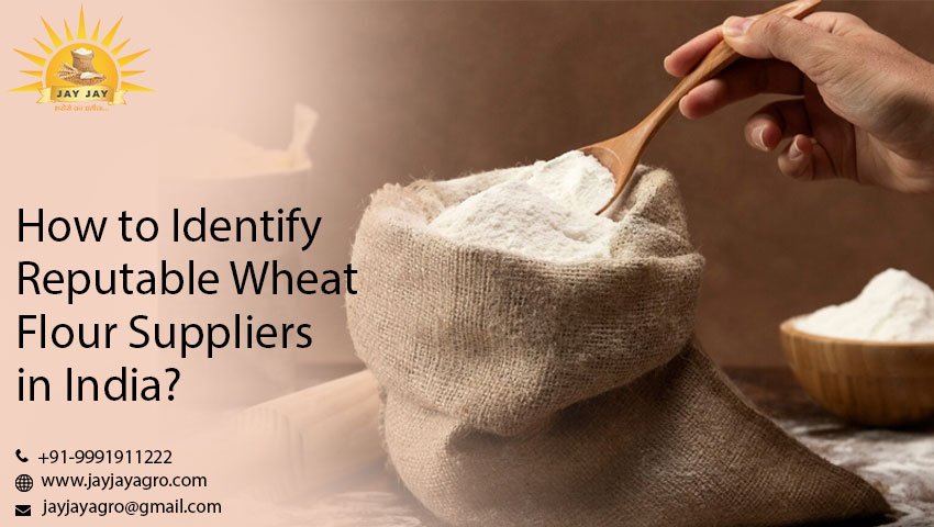 Wheat Flour Suppliers in india